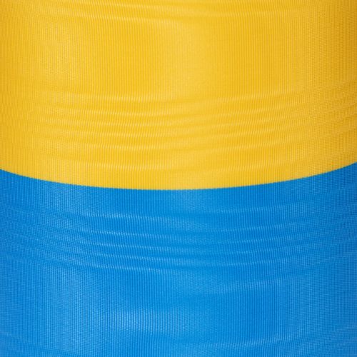 Blauw en geel moiré kranslint, 100 mm, nationaal lint, clublint, decoratief lint, feestelijk rouwlint, acetaat | Floristik24.nl
