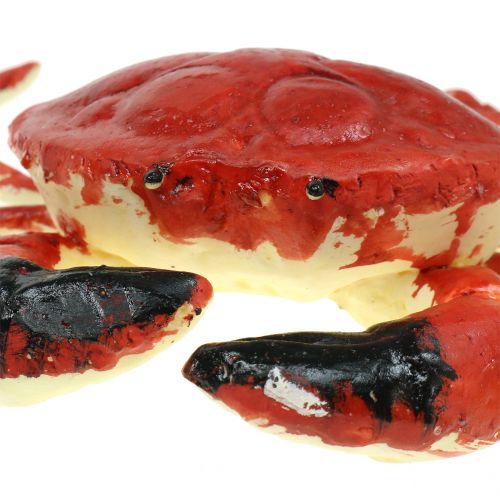 Floristik24 Deco Kreeft Rood 25cm
