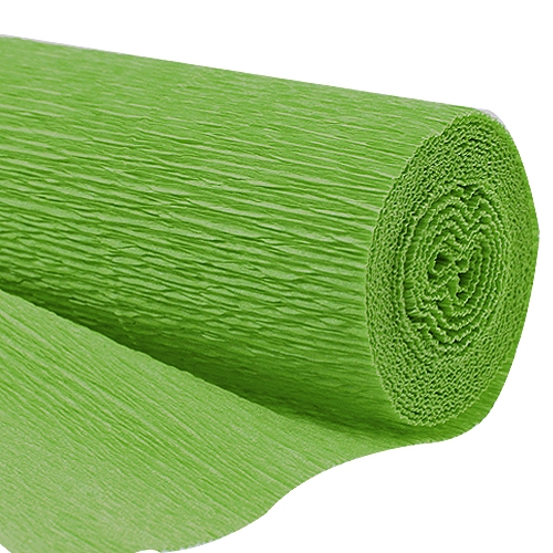 Floristik24 Bloemist Crepepapier Gras Groen 50x250cm