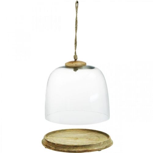 Floristik24 Glazen stolp met houten plaat, taartbel met jute handvat H19cm Ø22.5cm
