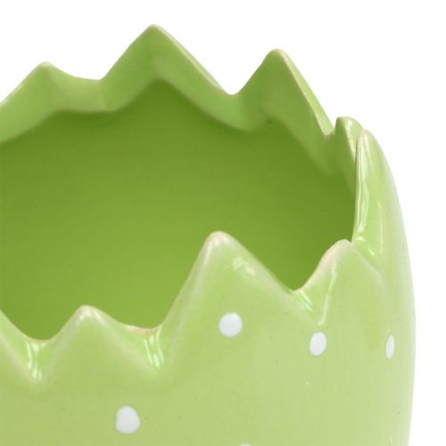 Floristik24 Bloempot eierschaal Ø8cm H8.5cm 8st