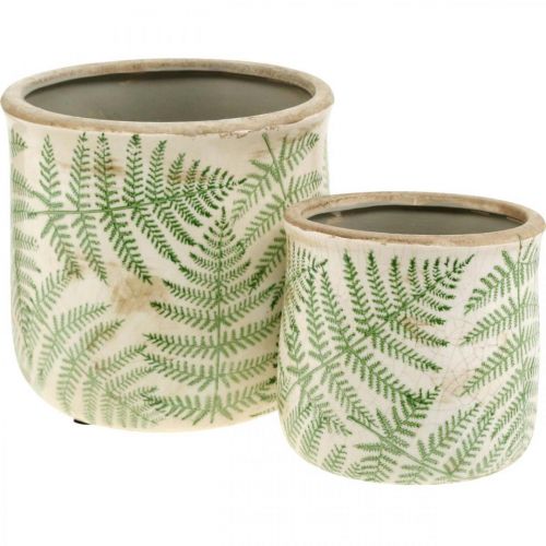 Floristik24 Plantenbak aardewerk varen plantenpot keramiek Ø15/10.5cm set van 2