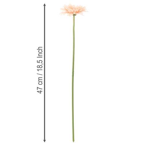 Kunstmatige gerbera's, abrikooskleur, 47 cm, 6 stuks | Floristik24.nl