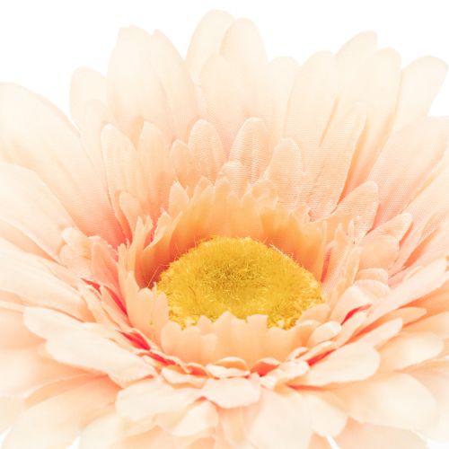 Kunstmatige gerbera's, abrikooskleur, 47 cm, 6 stuks | Floristik24.nl