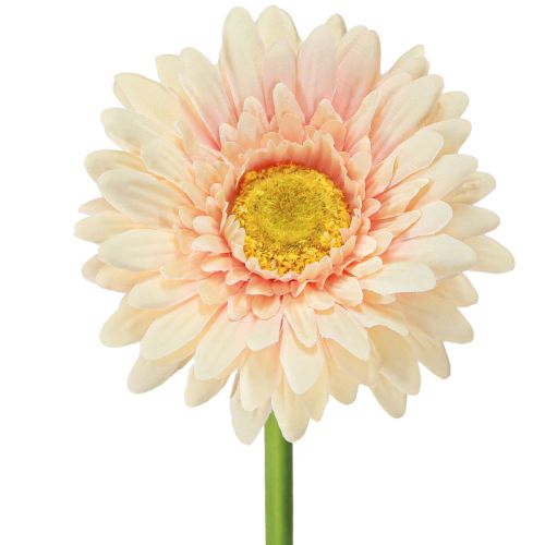 Kunstbloemen Gerbera Abrikoos 47cm