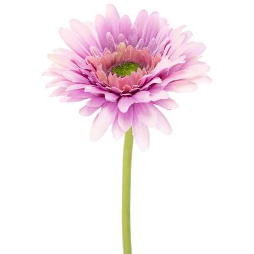 Kunstmatige gerbera's voor in de tuin, paars, 47 cm, 6 stuks kopen | Floristik24.nl