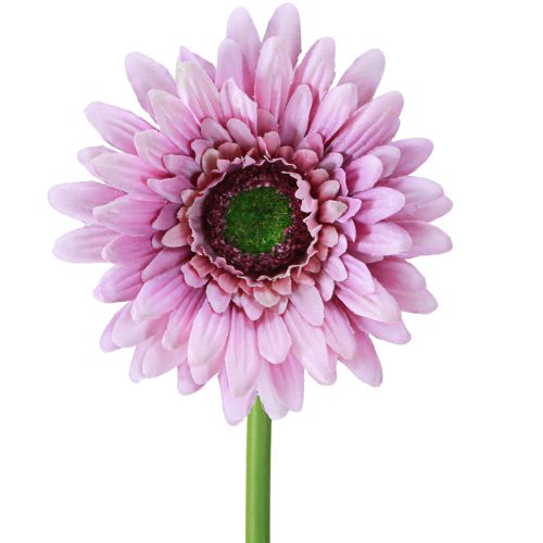 Kunstbloemen Gerberatuin Kunstbloemen Paars 47cm