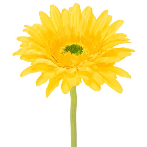Kunstmatige gerbera's, zonnig geel, tuinbloem, 47 cm, 6 stuks kopen | Floristik24.nl
