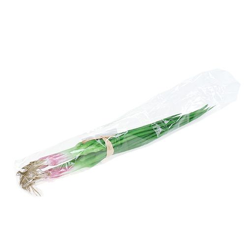 Floristik24 Kunst bosui 30cm 4st