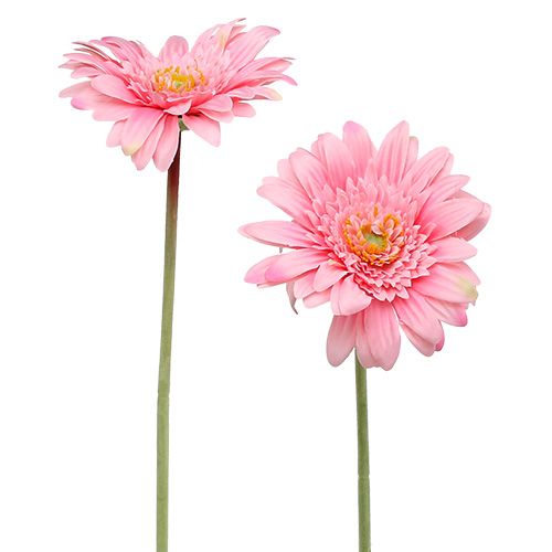 Floristik24 Gerbera kunst roze Ø10cm L53cm 6st