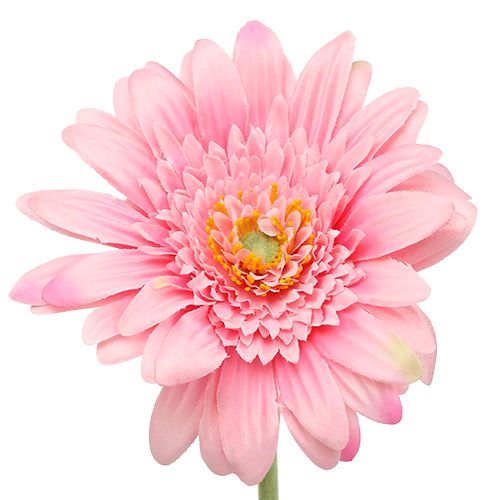 Floristik24 Gerbera kunst roze Ø10cm L53cm 6st