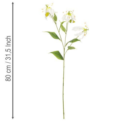 Kunstmatige Gloriosa-bloem, wit en geel, elegante bloeiende tak voor decoratie, 80 cm, 3 stuks | Floristik24.nl