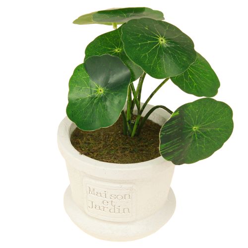 Artikel Groene kunstplanten mini planten in pot 15cm 3st