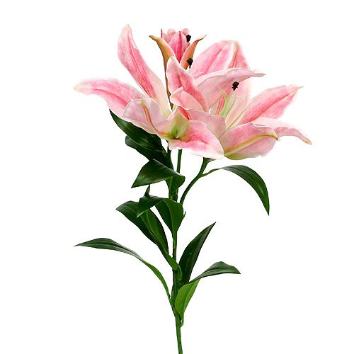 Floristik24 Kunstlelie Roze Real Touch 100cm