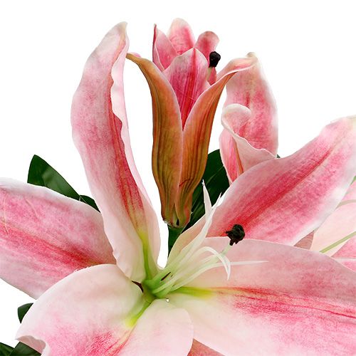 Floristik24 Kunstlelie Roze Real Touch 100cm