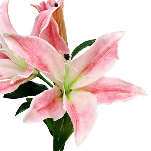 Floristik24 Kunstlelie Roze Real Touch 100cm