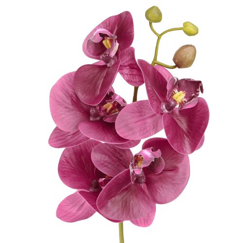 Artikel Kunstorchideeën paarse kunstbloemen zoals echt 56cm 3 st