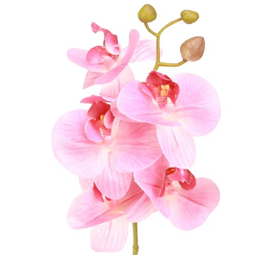 Artikel Kunstmatige Orchideeën Roze Kunstbloemen Als Echt 56cm 3 Stuks