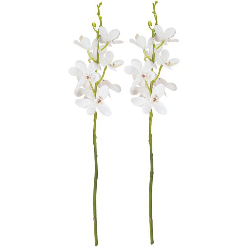 Artikel Kunstmatige Orchideeën Witte Bloem Ø3.5–5cm L38cm 2st