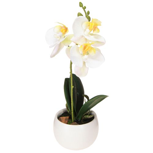 Floristik24 Kunstorchideeën in pot witte mini orchideeën Ø7cm H22cm