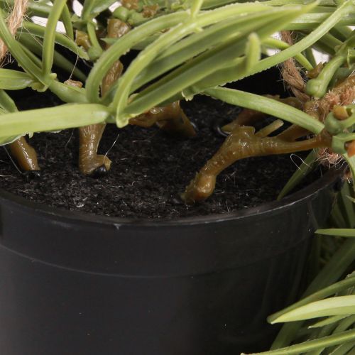Artikel Kunstvete hangplant in zwarte pot 60 cm - Duurzame interieurdecoratie