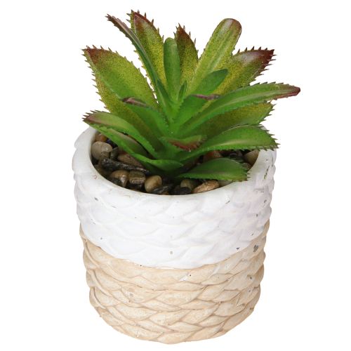 Artikel Kunstmatige vetplanten in keramische pot 12,5 cm 3 stuks
