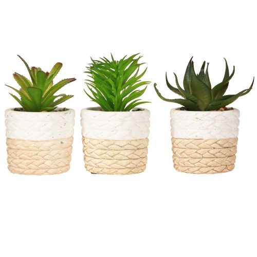 Artikel Kunstmatige vetplanten in keramische pot 12,5 cm 3 stuks
