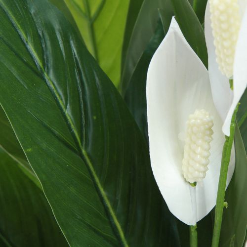 Artikel Kunstpotplant Enkelblad Peace Lily Groen Wit 55cm