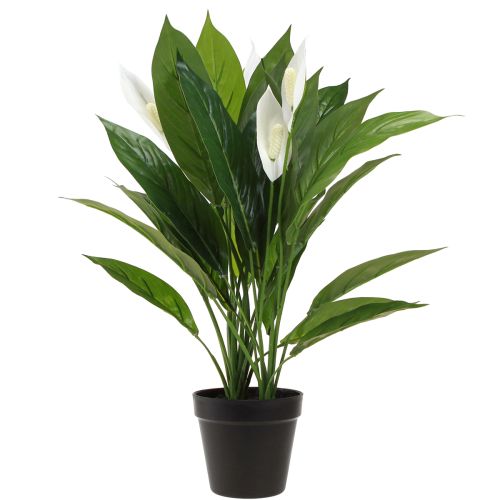 Artikel Kunstpotplant Enkelblad Peace Lily Groen Wit 55cm