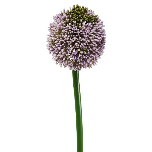 Floristik24 Kunstbloemen Allium Paars Ø10cm L65cm