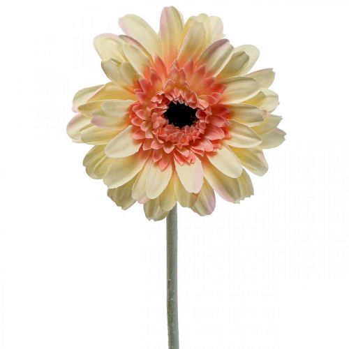 Floristik24 Kunstbloem gerbera kunstbloem abrikoos Ø11cm L50cm