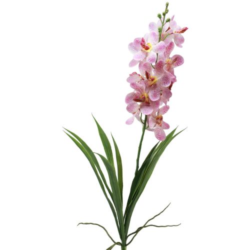 Artikel Kunstorchidee Roze Witte Kunstbloemorchidee 73cm