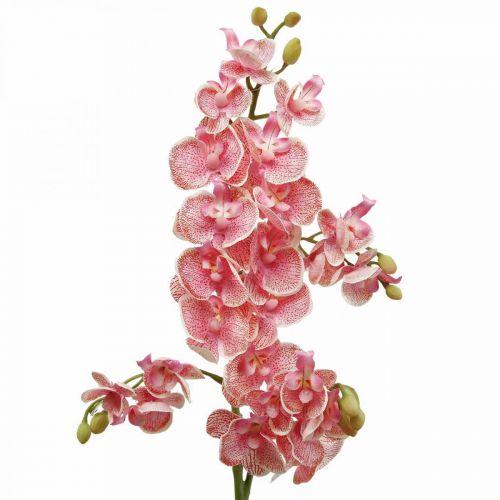 Floristik24 Kunst orchideeën deco kunstbloem orchidee roze 71cm