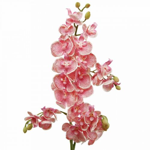 Kunst orchideeën deco kunstbloem orchidee roze 71cm