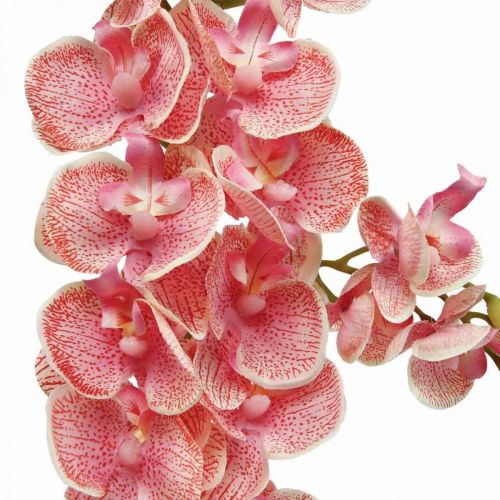 Kunst orchideeën deco kunstbloem orchidee roze 71cm