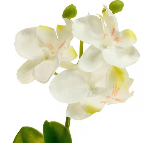 Floristik24 Kunst orchideeën Kunstbloem orchidee wit 20cm