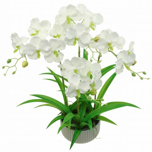 Floristik24 Kunstorchideeën kunstbloemen in pot wit 60cm