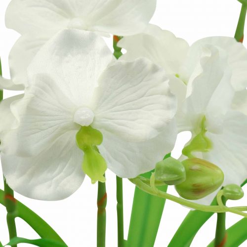 Floristik24 Kunstorchideeën kunstbloemen in pot wit 60cm