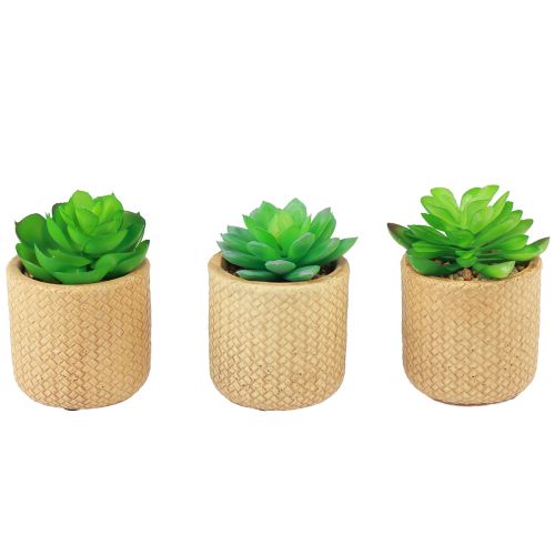 Artikel Kunstvetplanten in pot Kunstplanten Assorti 10cm 3st