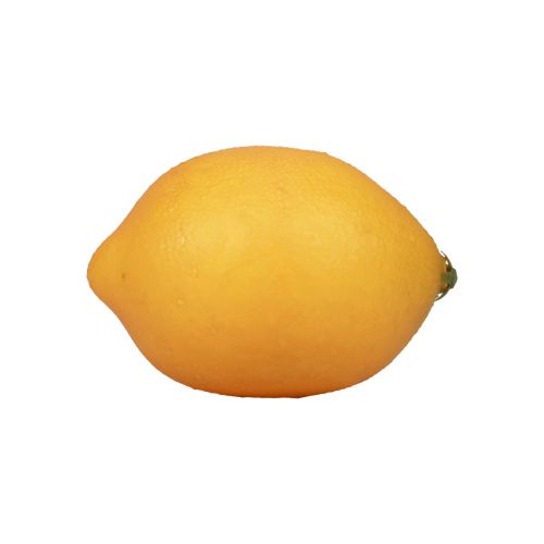 Floristik24 Kunstvoedingsdummies citroen citroen oranje 8,5cm