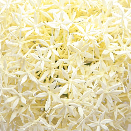 Artikel Kunst Allium Crème Witte Sier Ui Ø18cm L90cm