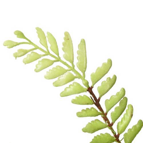 Artikel Kunstmatige varen decoratie kunstmatige varen kunstplant groen 42cm