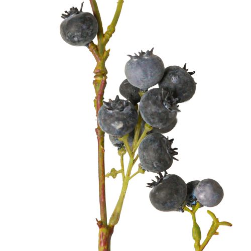 Floristik24 Kunsttak met blauwe bessen bosbessen 110cm