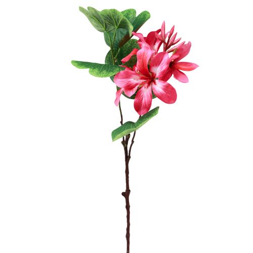 Artikel Kunstorchidetak Bauhinia Roze kunstplant 62cm