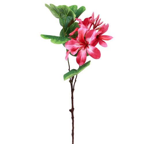 Floristik24 Kunstorchidetak Bauhinia Roze kunstplant 62cm