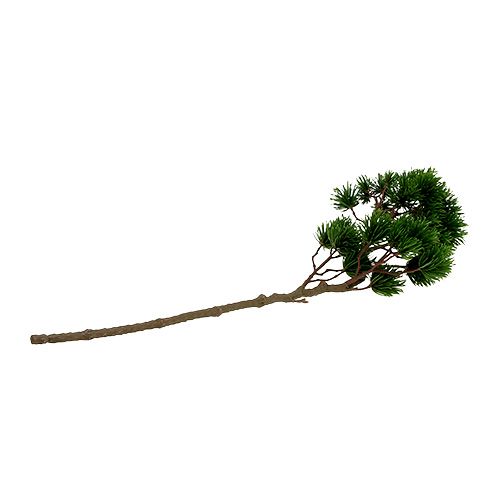 Floristik24 Kunstmatige pijnboomtak, pijnboomtak 62cm