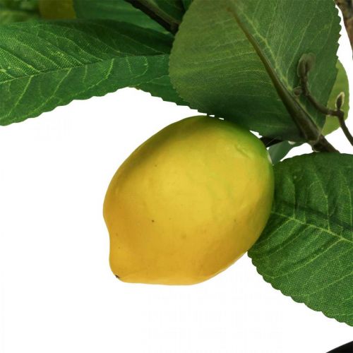 Artikel Kunst citroenboom in pot Citroenboom H65cm
