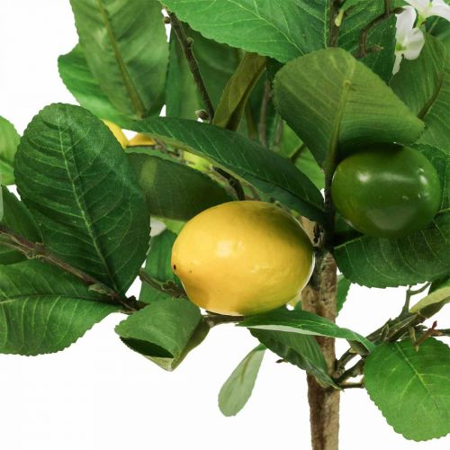 Kunst citroenboom in pot Citroenboom H57