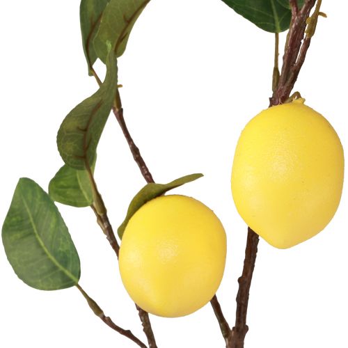Artikel Kunstcitroentak decoratieve tak met 3 gele citroenen 65cm