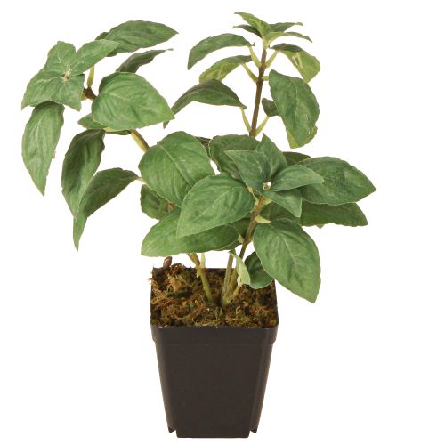 Artikel Kunstmatige Basilicum in Pot Kruiden in Groen H22cm